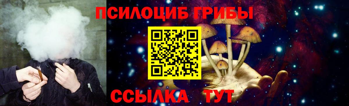 Псилоцибиновые грибы мухоморы Реж
