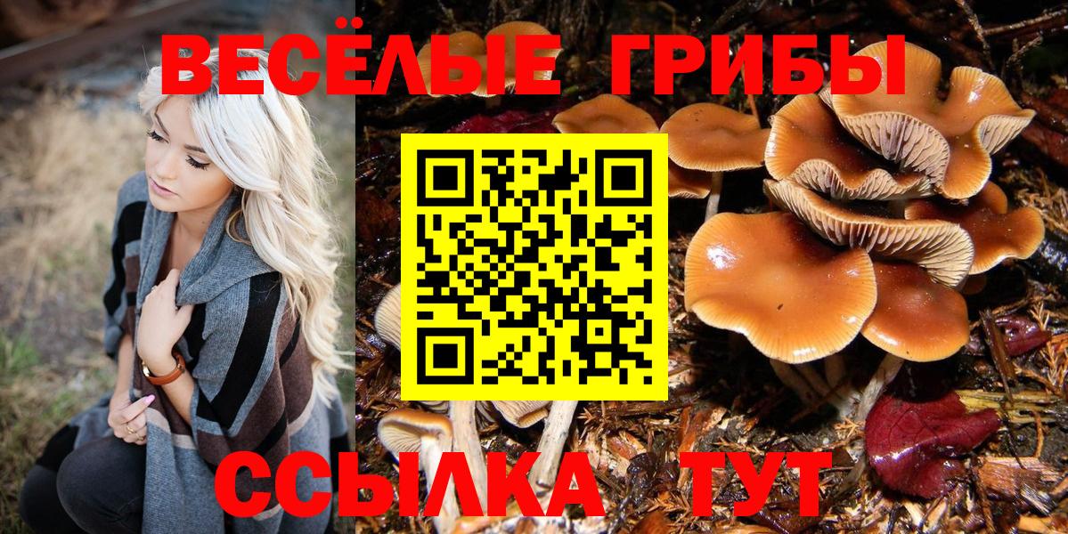 Псилоцибиновые грибы прущие грибы  где продают   Реж  Вход с VPN 